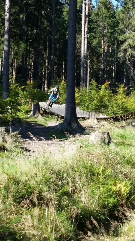 ブラウンラーゲHarz-Zauberアパートメント エクステリア 写真