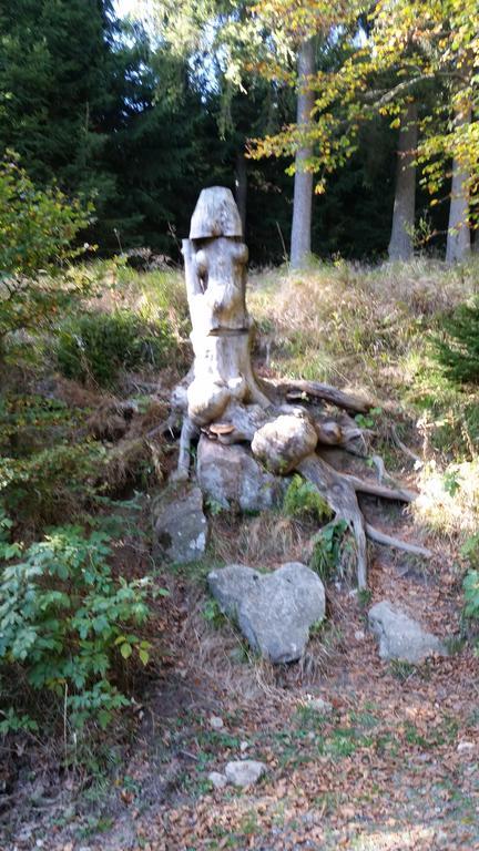 ブラウンラーゲHarz-Zauberアパートメント エクステリア 写真